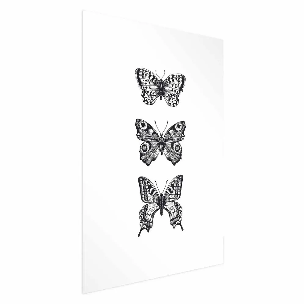 Plakat Trzy motyle 40x60 cm bez ramy z marginesem | MIRAT.