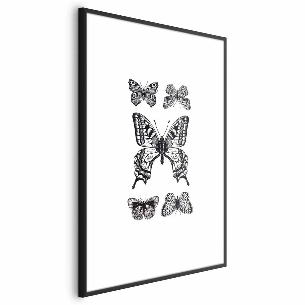 Plakat Pięć motyli 21x30 cm z ramą czarną z marginesem | MIRAT.