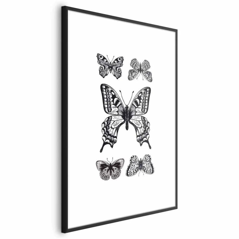 Plakat Pięć motyli 21x30 cm z ramą czarną bez marginesu | MIRAT.