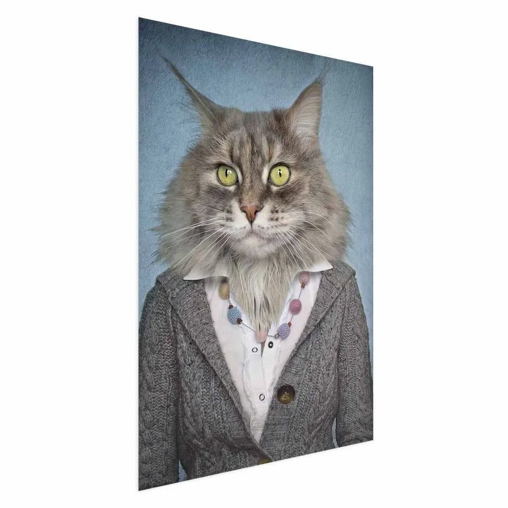 Plakat Pani kot 29,7x42 cm bez ramy bez marginesu | MIRAT.