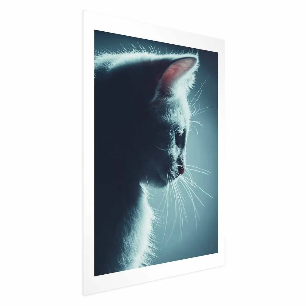 Plakat Nocny włóczęga 21x30 cm bez ramy z marginesem | MIRAT.