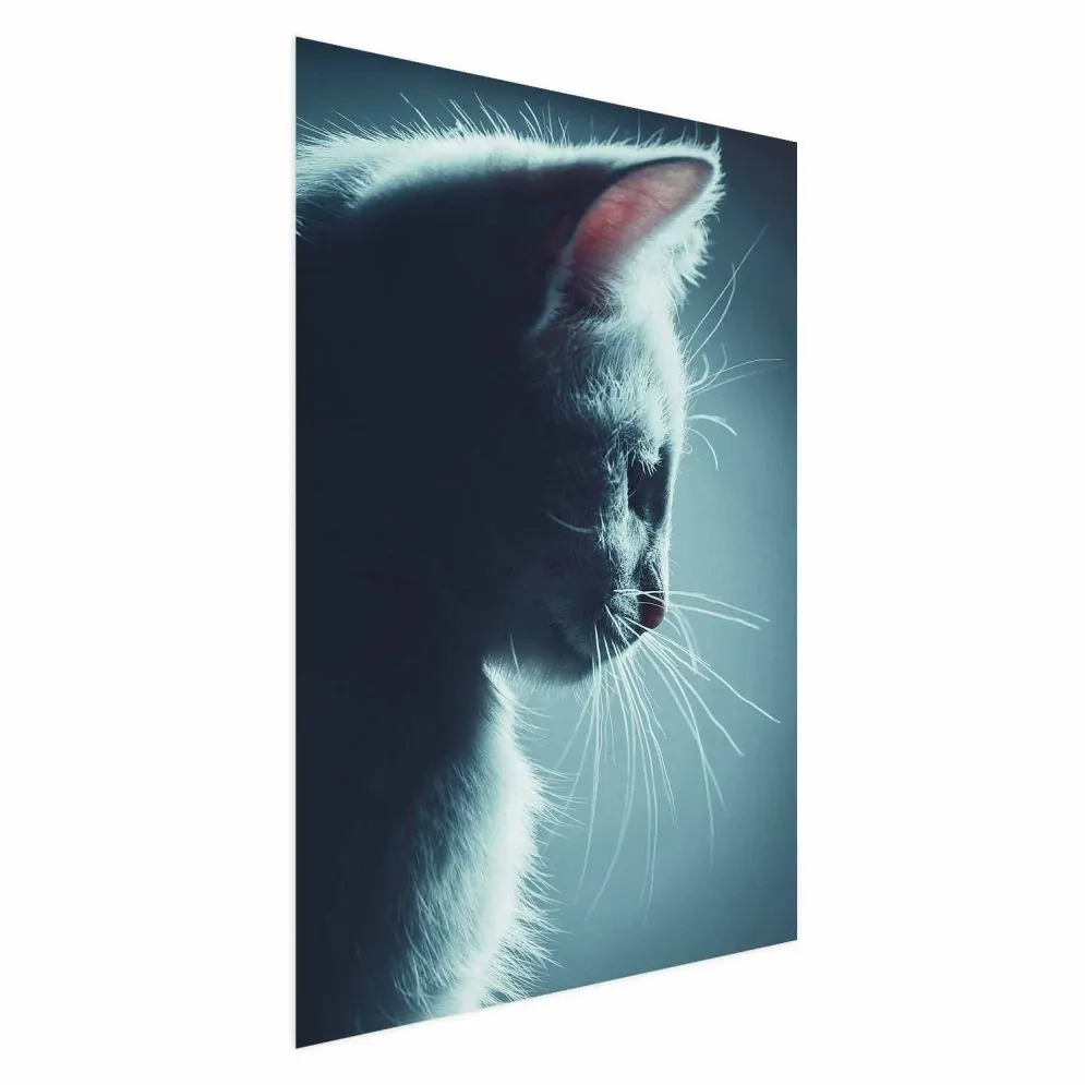 Plakat Nocny włóczęga 29,7x42 cm bez ramy bez marginesu | MIRAT.