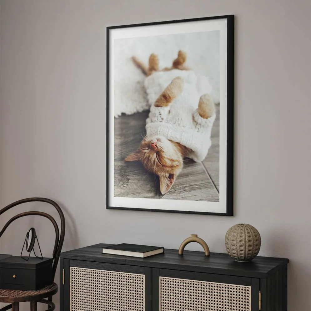 Plakat Leniwy kot 40x60 cm z ramą czarną z marginesem | MIRAT.