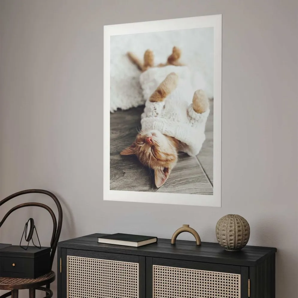 Plakat Leniwy kot 29,7x42 cm bez ramy z marginesem | MIRAT.