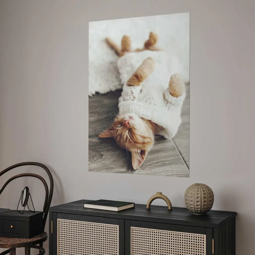 Plakat Leniwy kot 29,7x42 cm bez ramy bez marginesu | MIRAT.