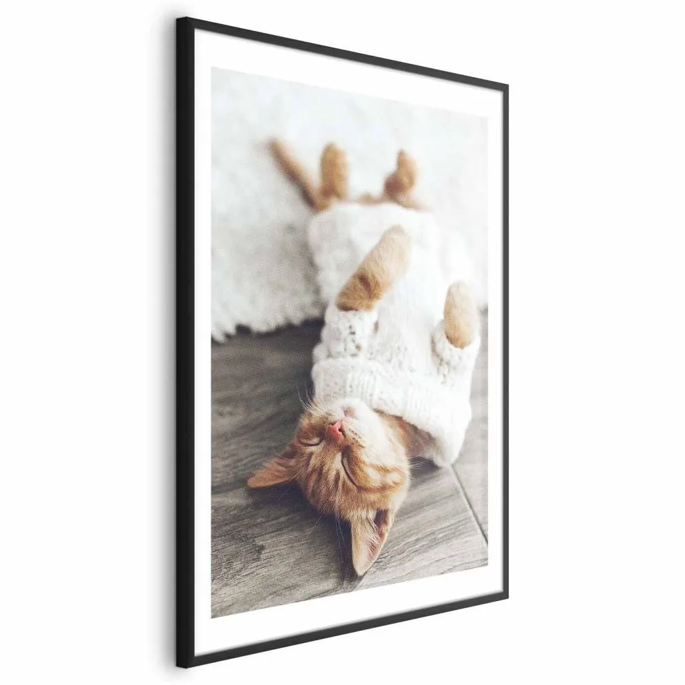 Plakat Leniwy kot 40x60 cm z ramą czarną z marginesem | MIRAT.