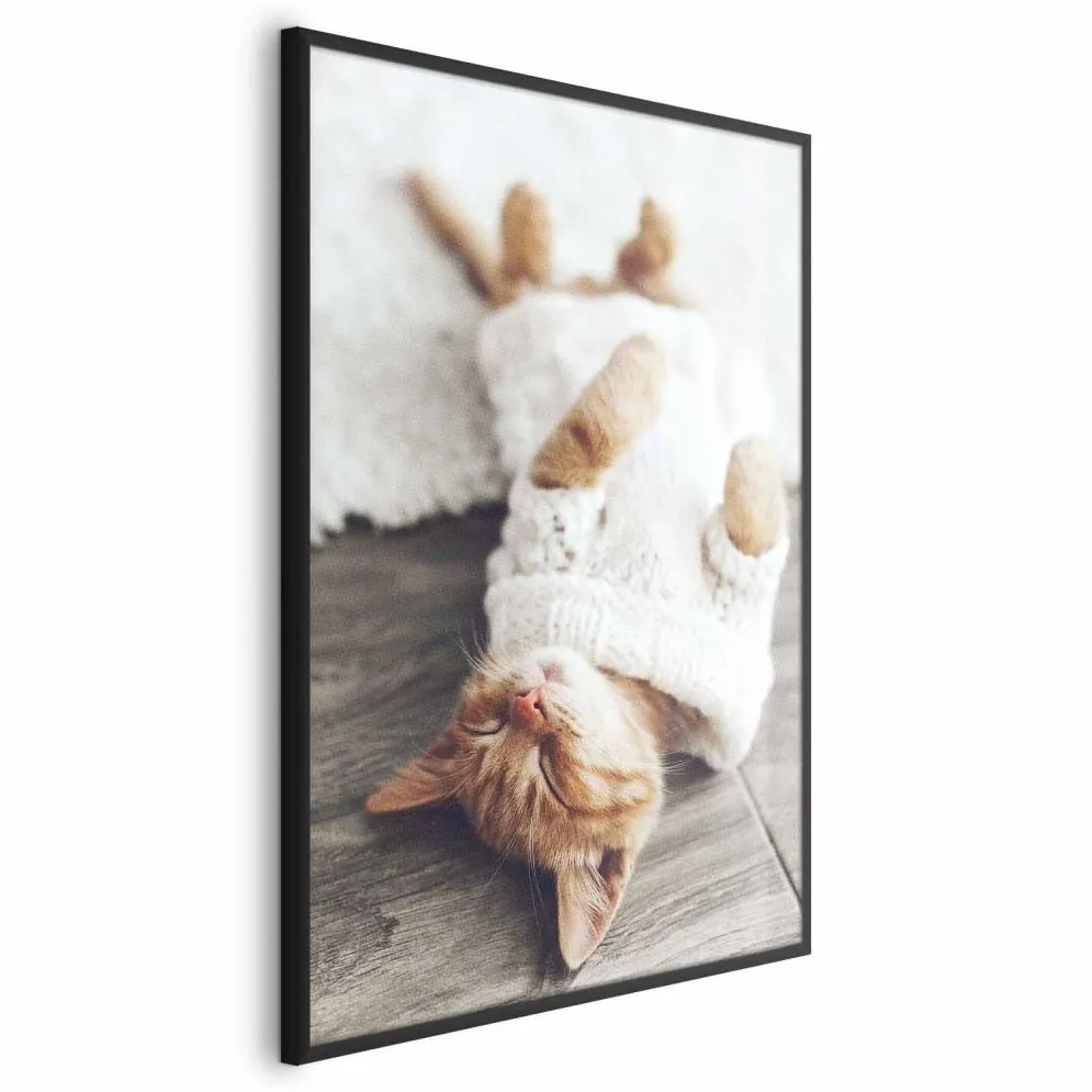 Plakat Leniwy kot 60x90 cm z ramą czarną bez marginesu | MIRAT.