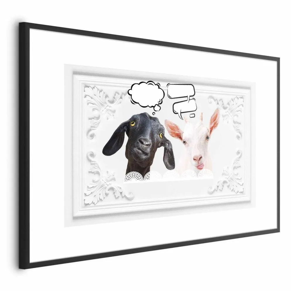 Plakat Śmieszne kozy 60x40 cm z ramą czarną z marginesem | MIRAT.
