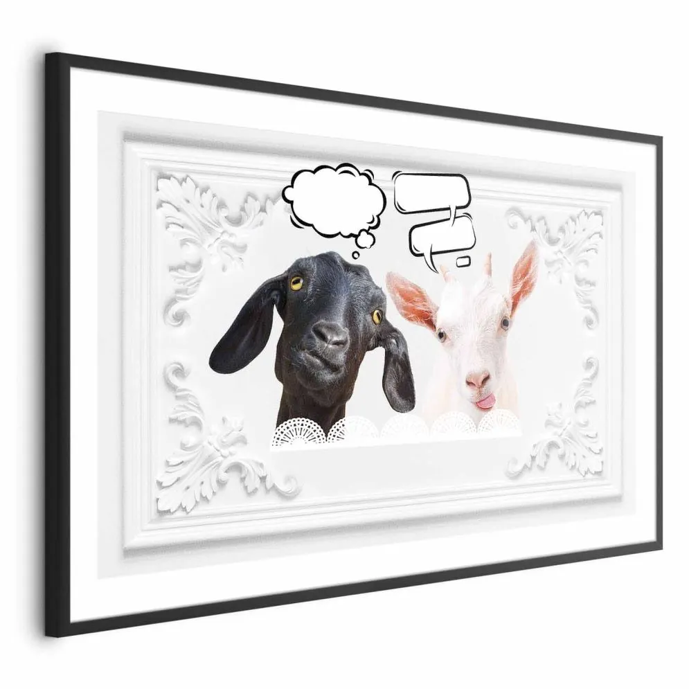 Plakat Śmieszne kozy 60x40 cm z ramą czarną bez marginesu | MIRAT.