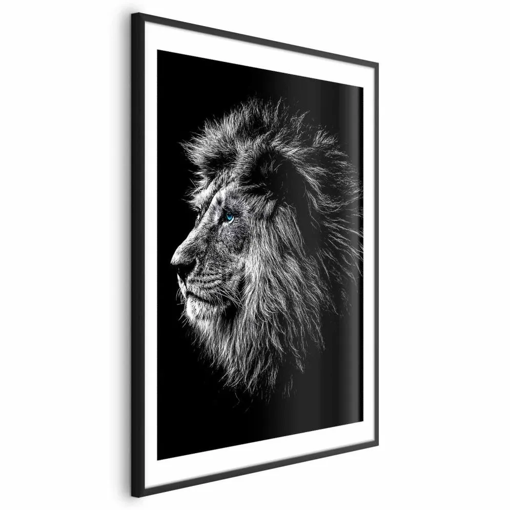 Plakat Niebieskooki lew 29,7x42 cm z ramą czarną z marginesem | MIRAT.