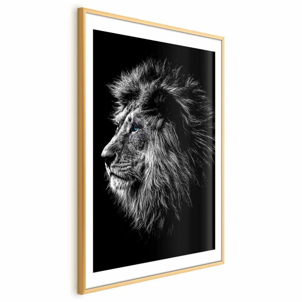 Plakat Niebieskooki lew 40x60 cm z ramą złotą z marginesem | MIRAT.