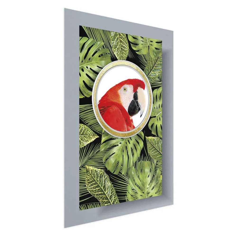 Plakat Papuga w dżungli 60x90 cm bez ramy bez marginesu | MIRAT.