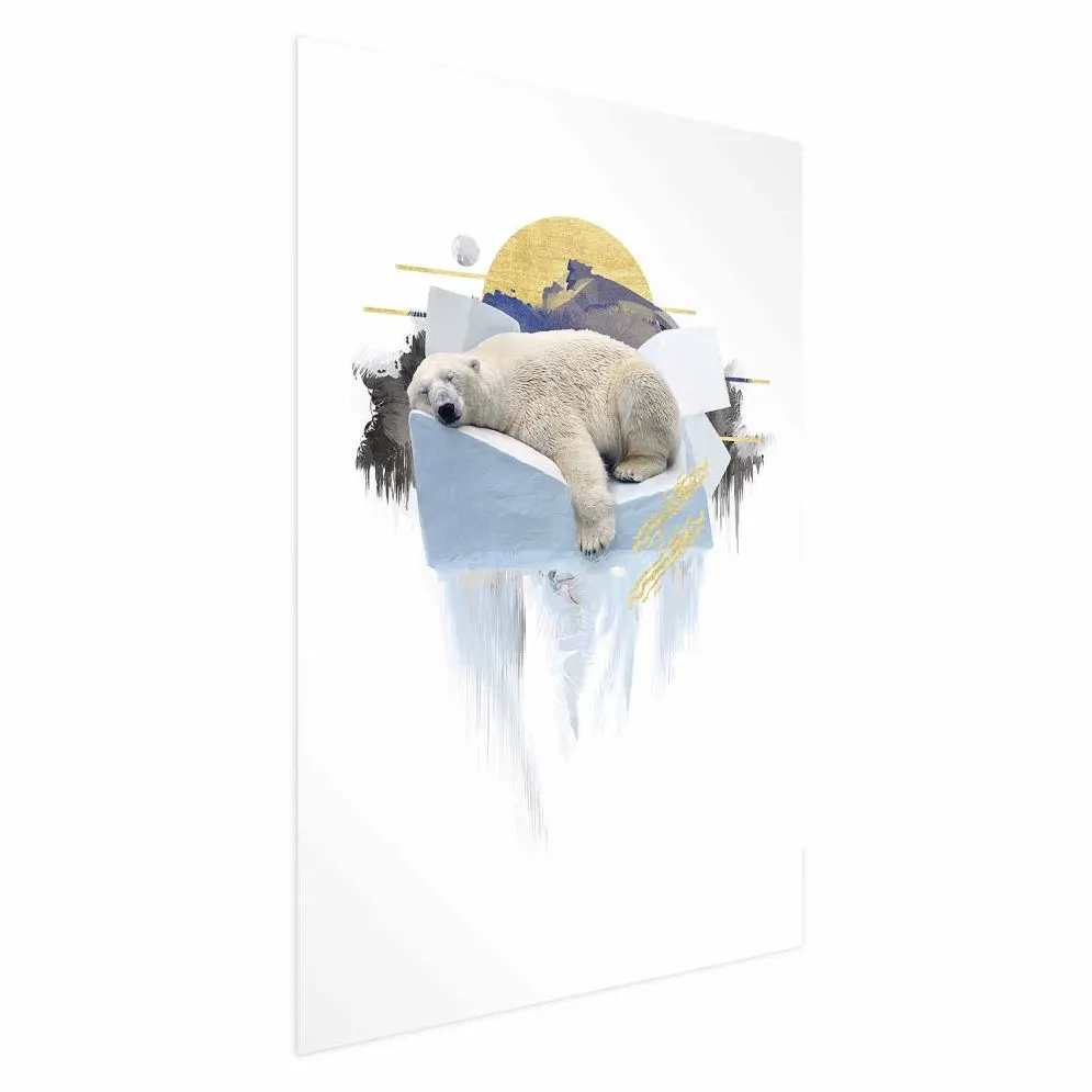 Plakat Niedźwiedź polarny 40x60 cm bez ramy bez marginesu | MIRAT.