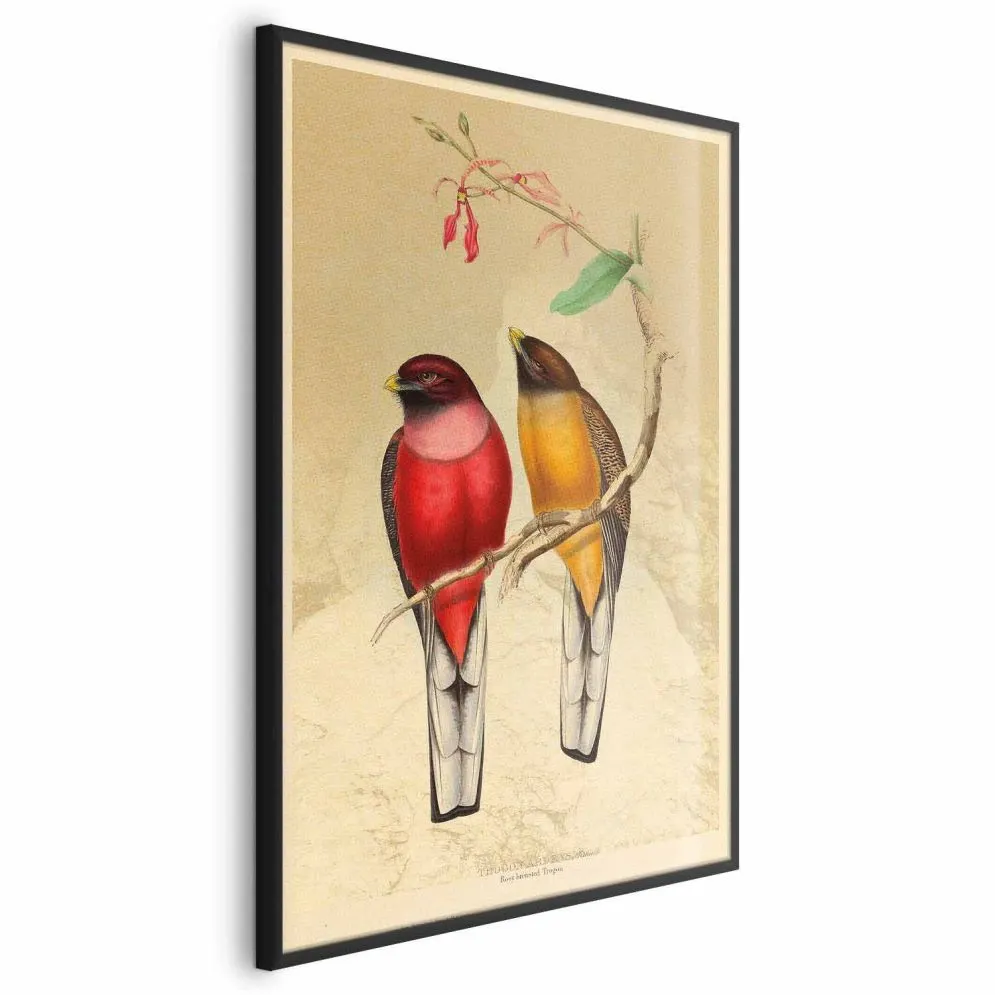 Plakat Ptaki na gałązce 60x90 cm z ramą czarną bez marginesu | MIRAT.