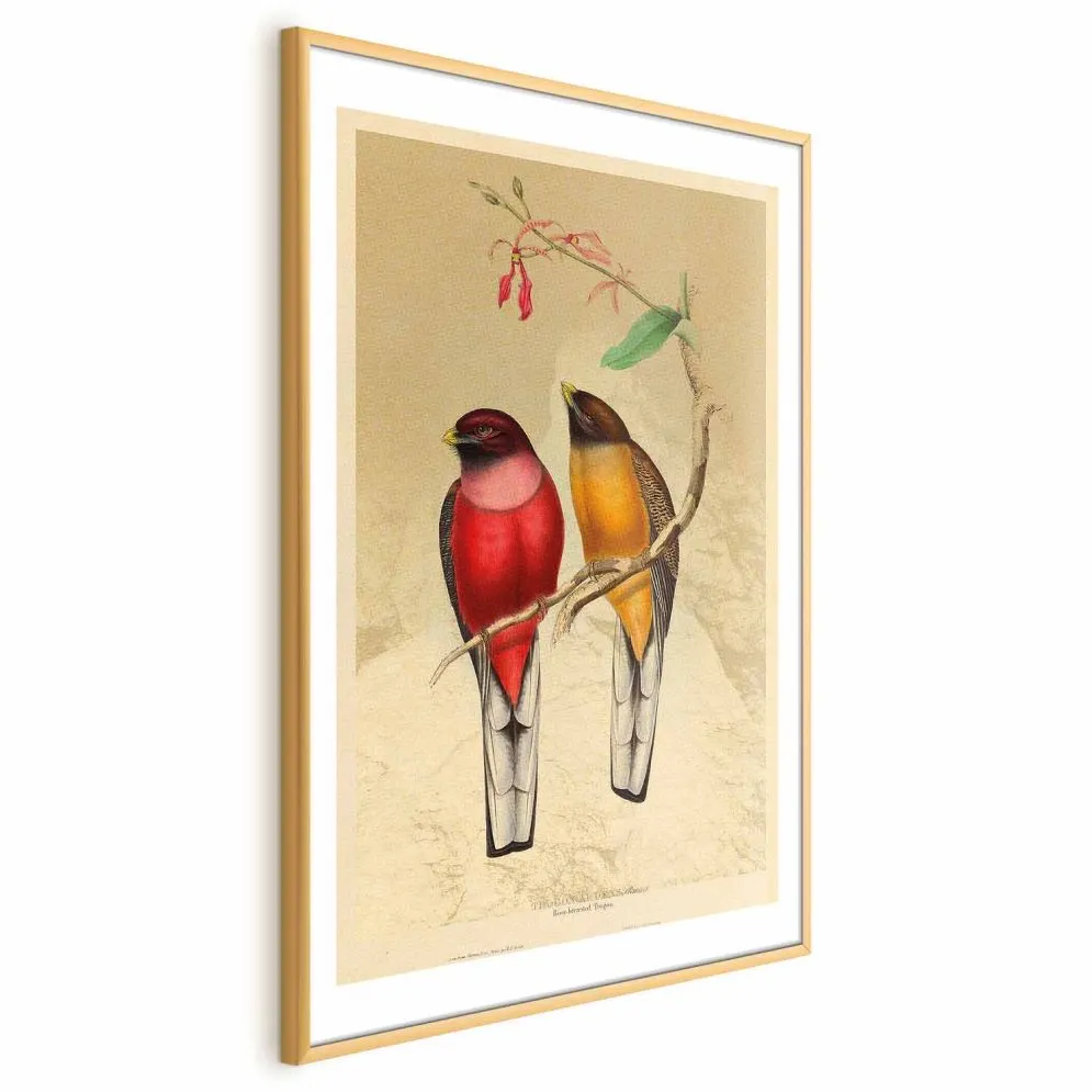 Plakat Ptaki na gałązce 40x60 cm z ramą złotą z marginesem | MIRAT.