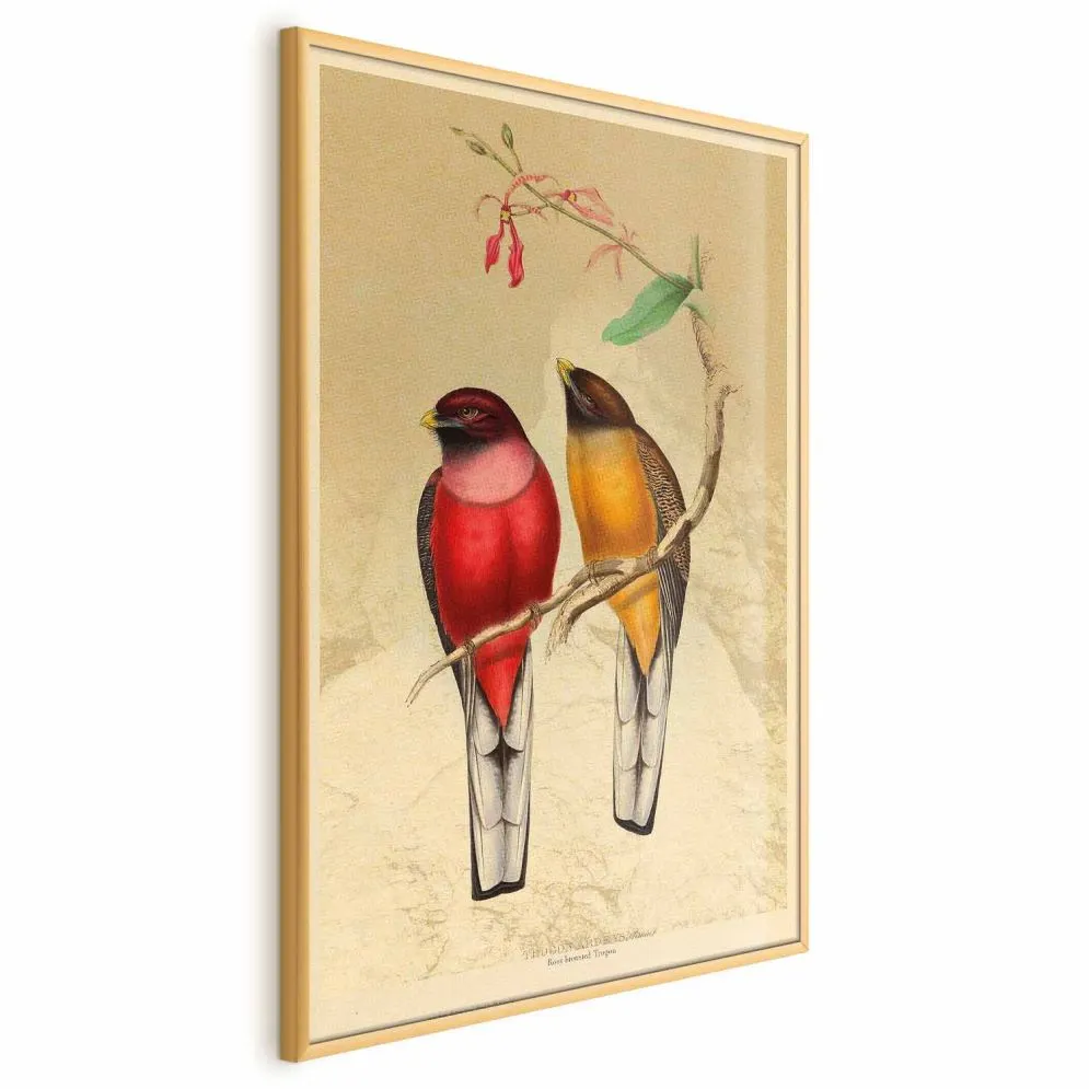 Plakat Ptaki na gałązce 60x90 cm z ramą złotą bez marginesu | MIRAT.