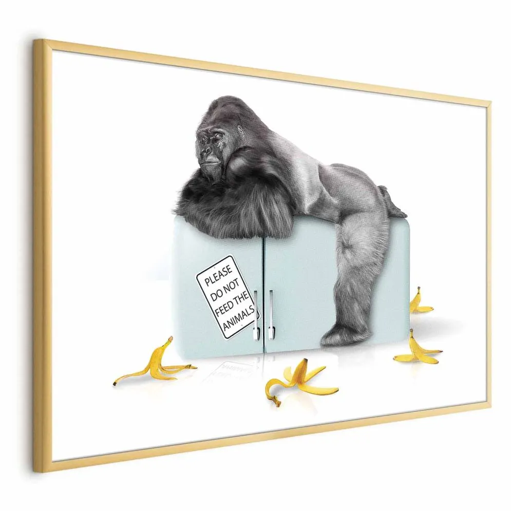 Plakat Głodny goryl 30x21 cm z ramą złotą bez marginesu | MIRAT.