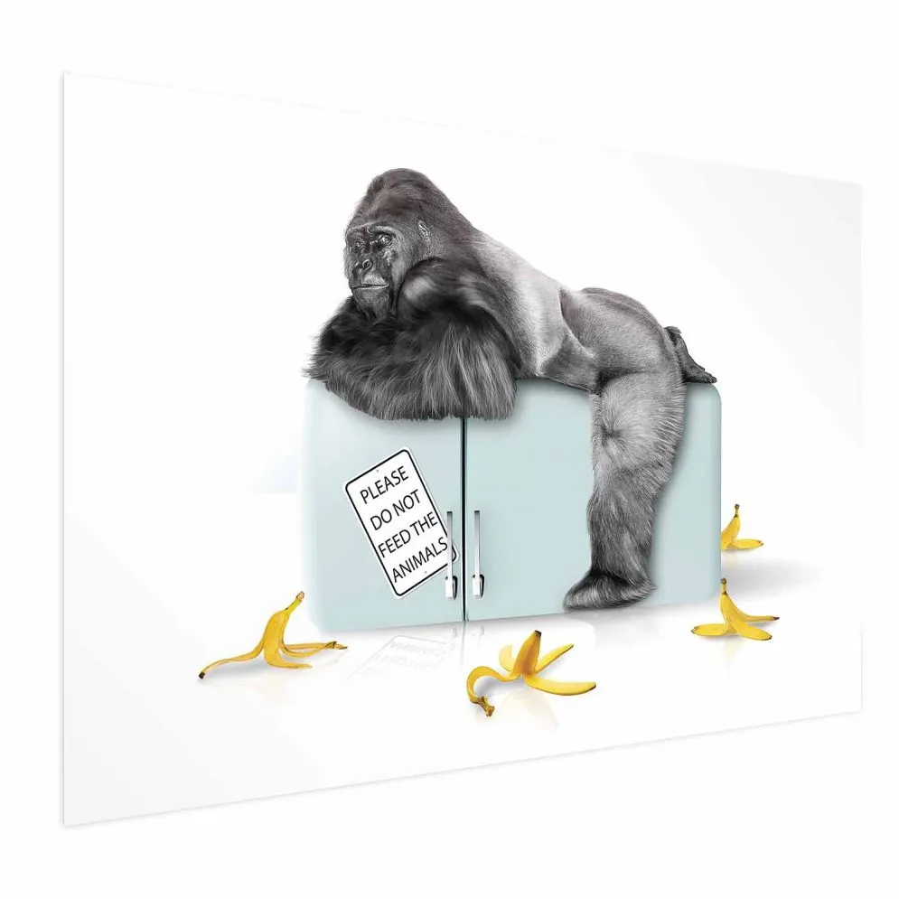 Plakat Głodny goryl 90x60 cm bez ramy bez marginesu | MIRAT.