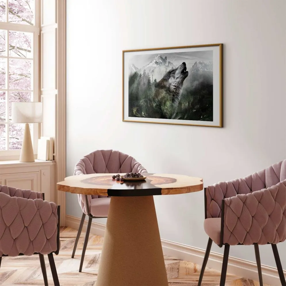 Plakat Wyjący wilk 60x40 cm z ramą złotą z marginesem | MIRAT.