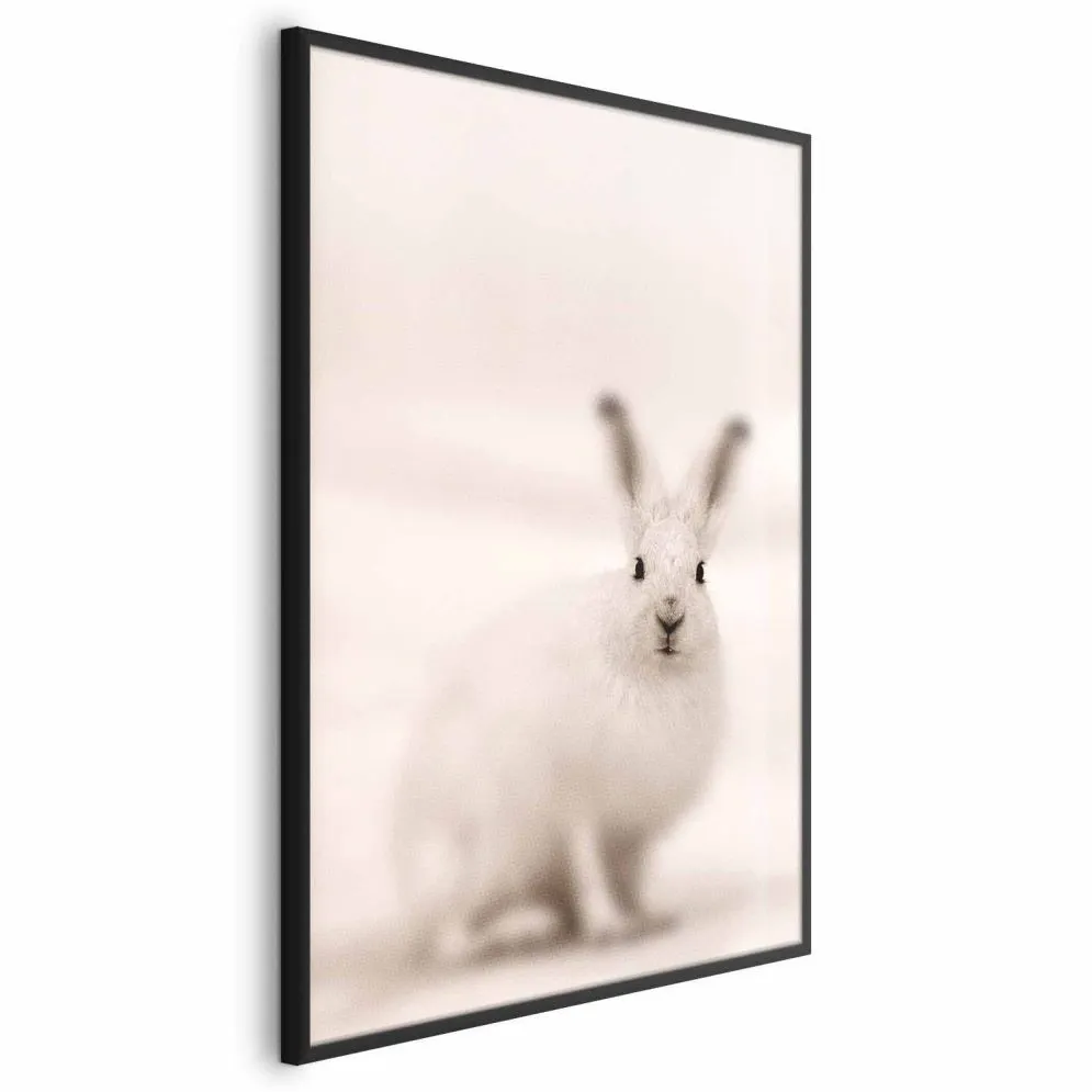 Plakat Strachliwe spojrzenie 60x90 cm z ramą czarną bez marginesu | MIRAT.