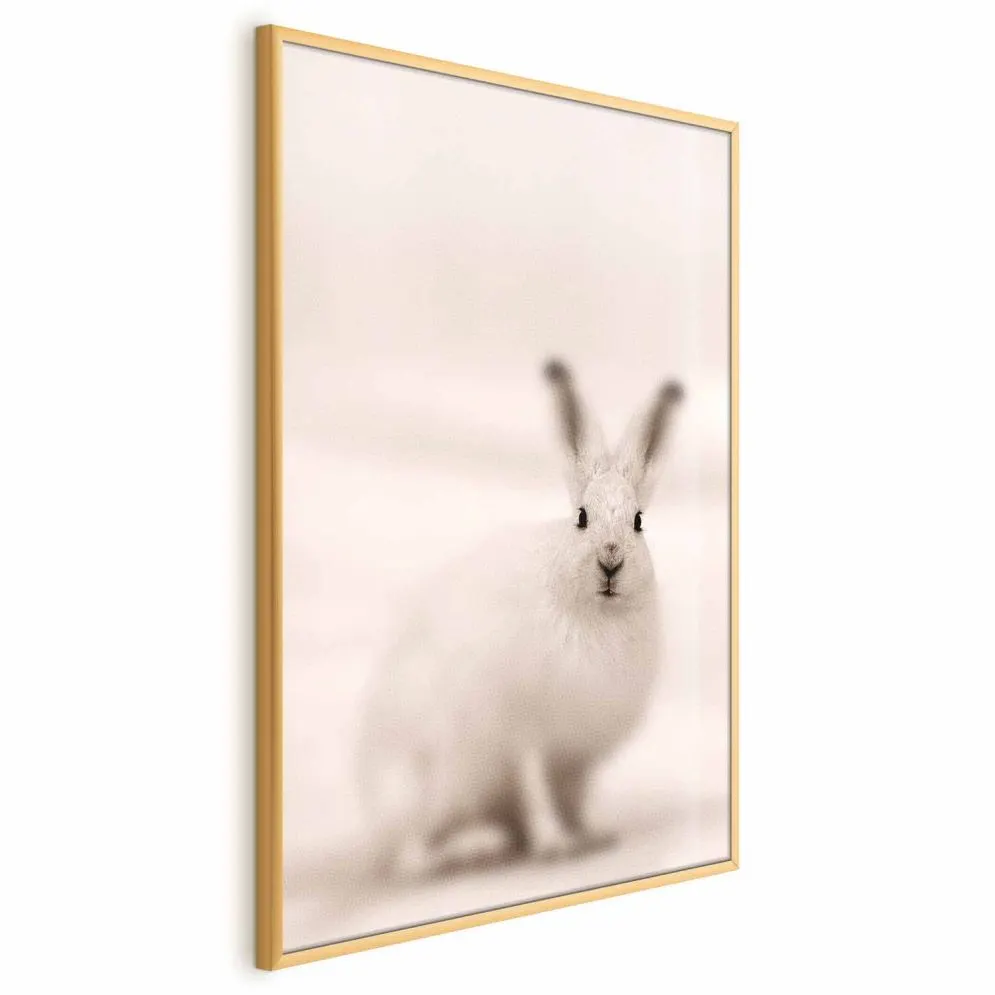 Plakat Strachliwe spojrzenie 60x90 cm z ramą złotą bez marginesu | MIRAT.