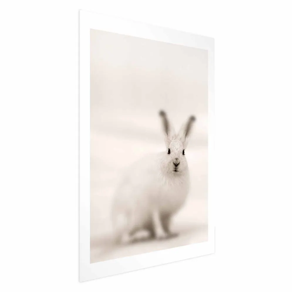 Plakat Strachliwe spojrzenie 60x90 cm bez ramy z marginesem | MIRAT.