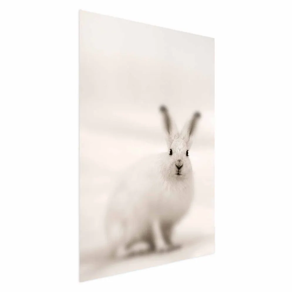 Plakat Strachliwe spojrzenie 21x30 cm bez ramy bez marginesu | MIRAT.