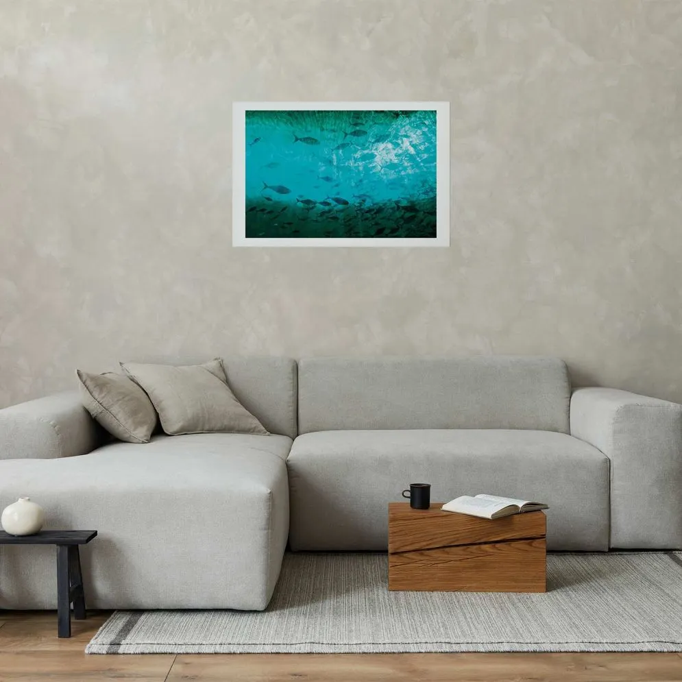 Plakat Gromada ryb 42x29,7 cm bez ramy z marginesem | MIRAT.