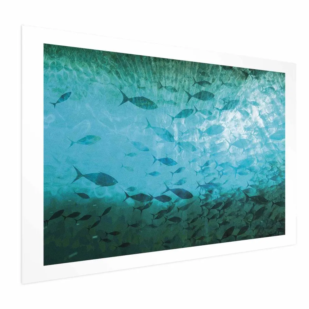 Plakat Gromada ryb 42x29,7 cm bez ramy z marginesem | MIRAT.