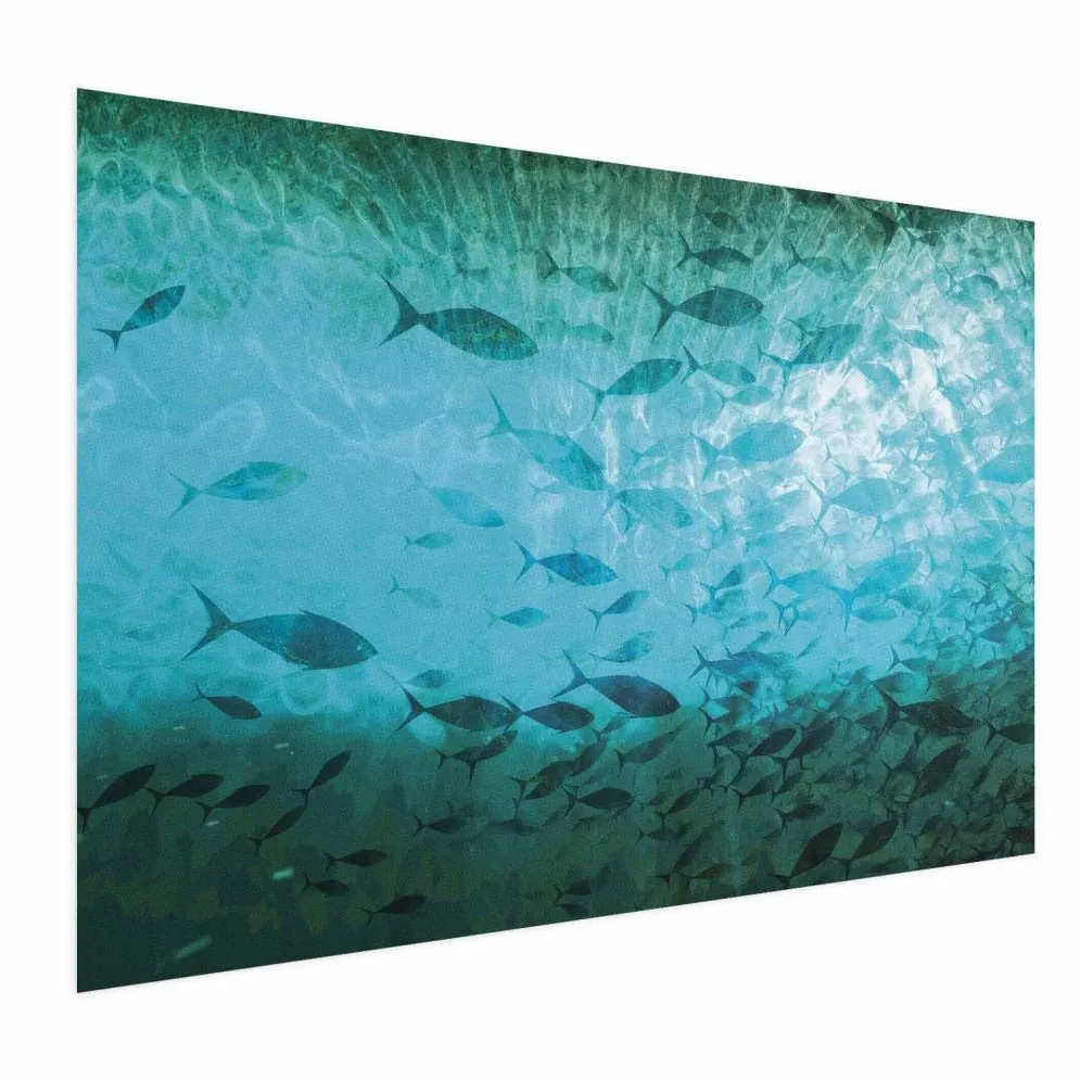 Plakat Gromada ryb 42x29,7 cm bez ramy bez marginesu | MIRAT.