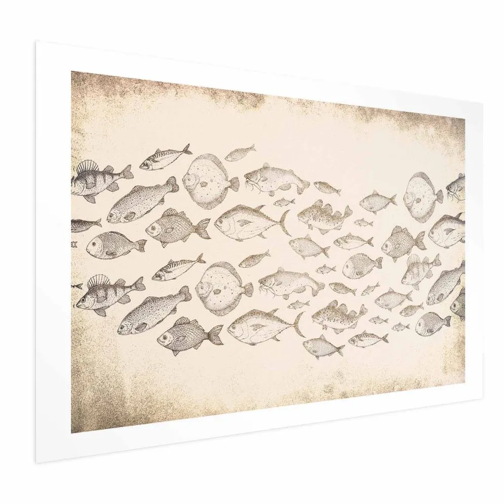 Plakat Subtelne rybki 60x40 cm bez ramy z marginesem | MIRAT.