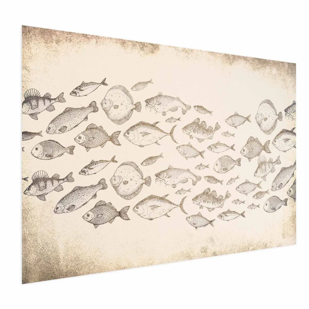 Plakat Subtelne rybki 90x60 cm bez ramy bez marginesu | MIRAT.