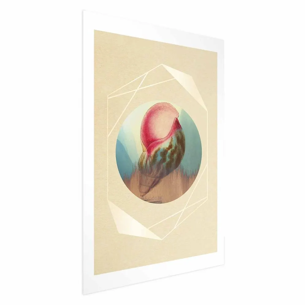 Plakat Muszla 21x30 cm bez ramy z marginesem | MIRAT.