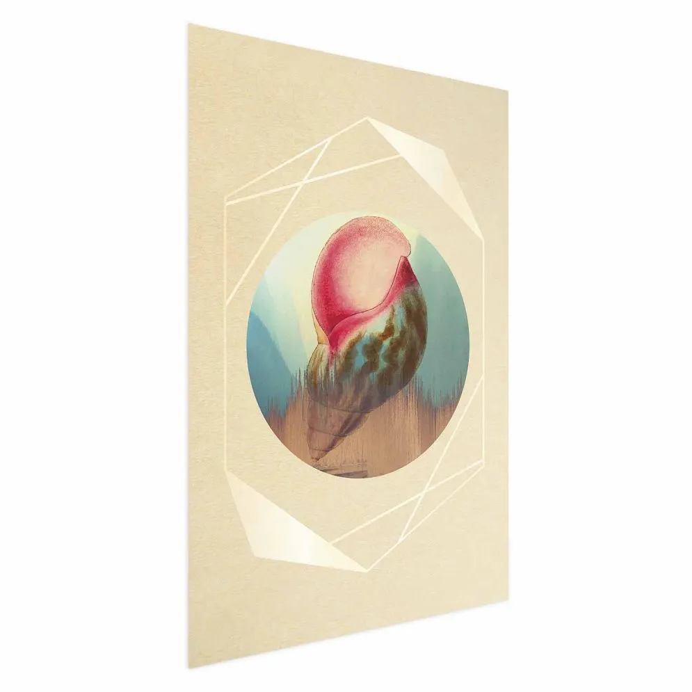 Plakat Muszla 29,7x42 cm bez ramy bez marginesu | MIRAT.