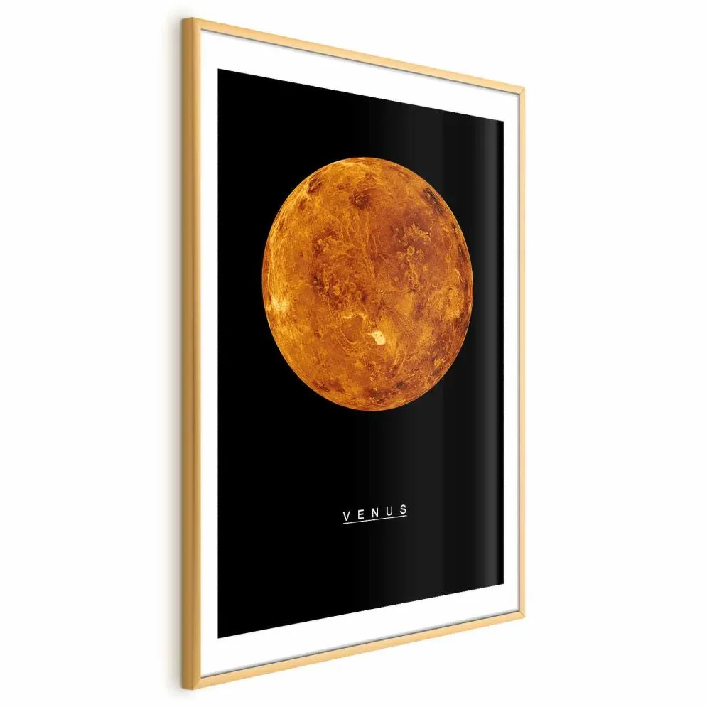 Plakat Wenus 40x60 cm z ramą złotą z marginesem | MIRAT.