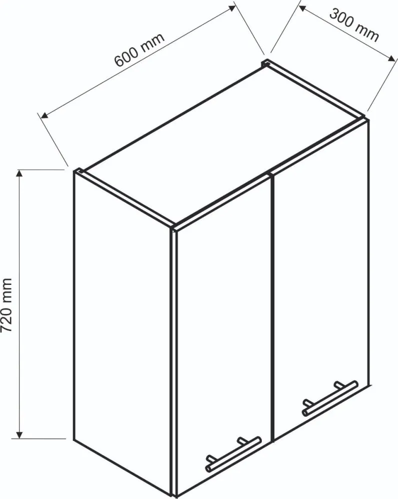 Dwudrzwiowa szafka kuchenna wisząca 60 DENIS W60 biały mat I sklep meblowy MIRAT.  kolekcja DENIS