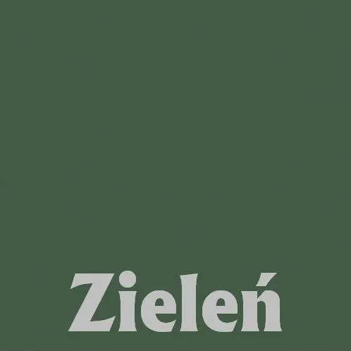 Łóżko piętrowe SANICA 180x80 białe/zielone sosnowe I sklep meblowy MIRAT.