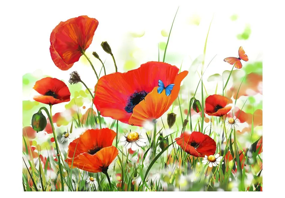 Fototapeta - Country poppies-2