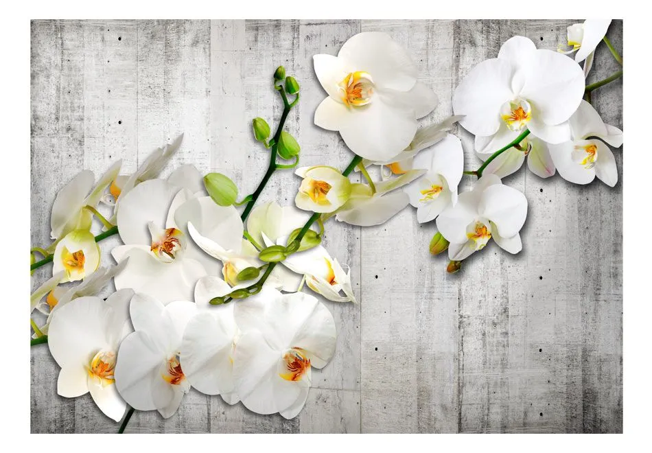 Fototapeta - Z szafranowym akcentem-2