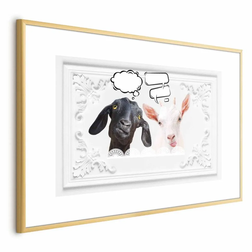 Plakat Śmieszne kozy 42x29,7 cm z ramą złotą z marginesem | MIRAT.
