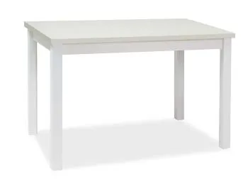 Stół ADAM 100x60 biały mat