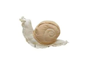 Poduszka dekoracyjna SNAIL 22x40cm beżowa