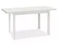 Stół rozkładany ADAM 120(160)x68 biały mat skandynawski I sklep meblowy MIRAT. styl SKANDYNAWSKI