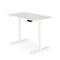Biurko B53 białe z regulacją wysokości młodzieżowe I sklep meblowy MIRAT.