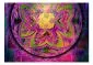 Fototapeta - Mandala  Różowa ekspresja-2