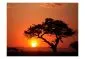 Fototapeta - Afryka  zachód słońca-2