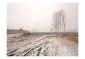 Fototapeta - Winter field-2