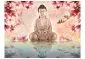 Fototapeta - Budda i magnolia-2