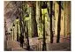 Fototapeta - Lonely walk through Montmartre-2