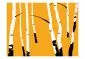 Fototapeta - Birches on the orange background-2